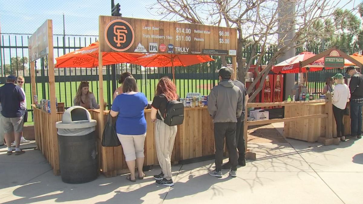 Scottsdale Stadium renovations proposed to address more than baseball -  Rose Law Group Reporter